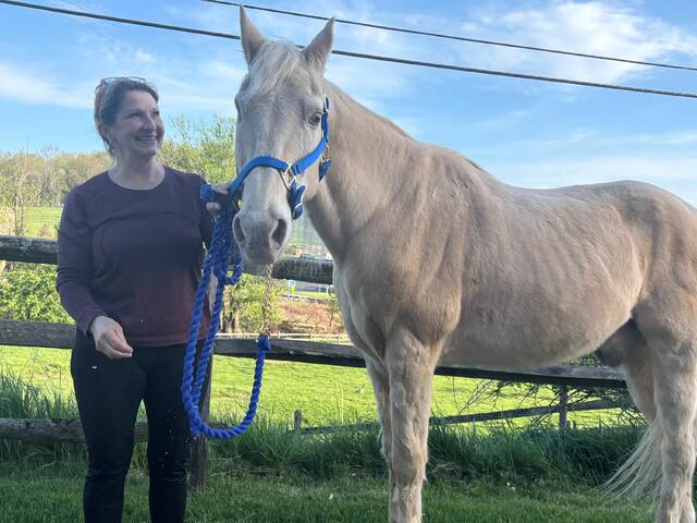Horseback riding program for children with disabilities seeks volunteers