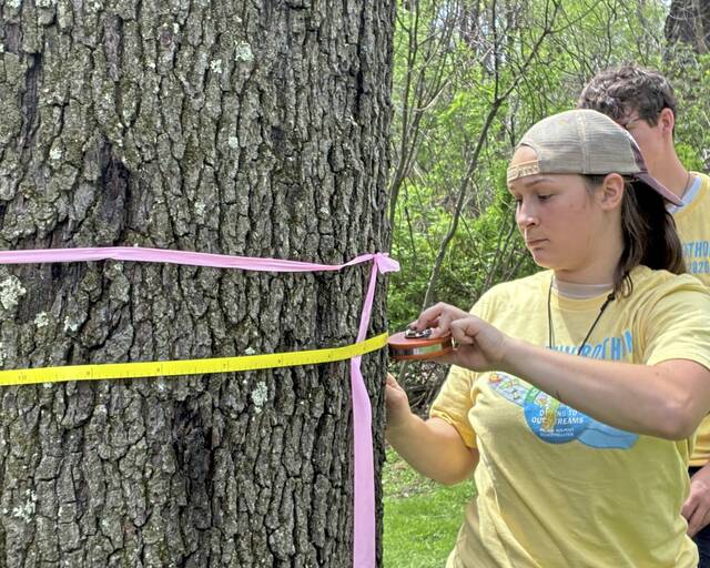 Westmoreland Envirothon: All winners in learning about the environment