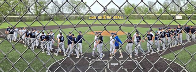 Norwin puts itself in line for Section 2-6A baseball title with convincing win over Mt. Lebanon