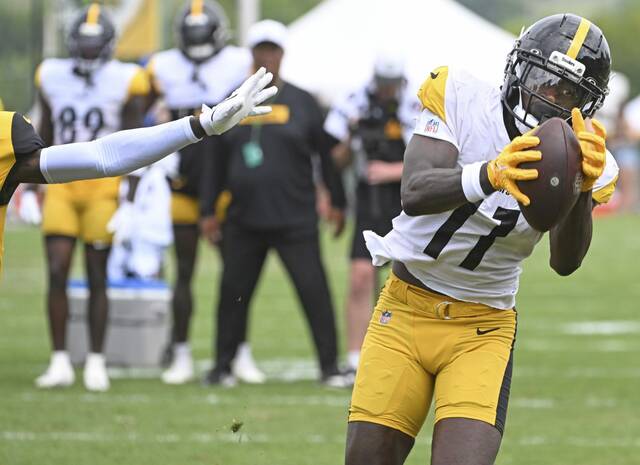 Steelers bring back WR Brandon Johnson, release John Rhys Plumlee