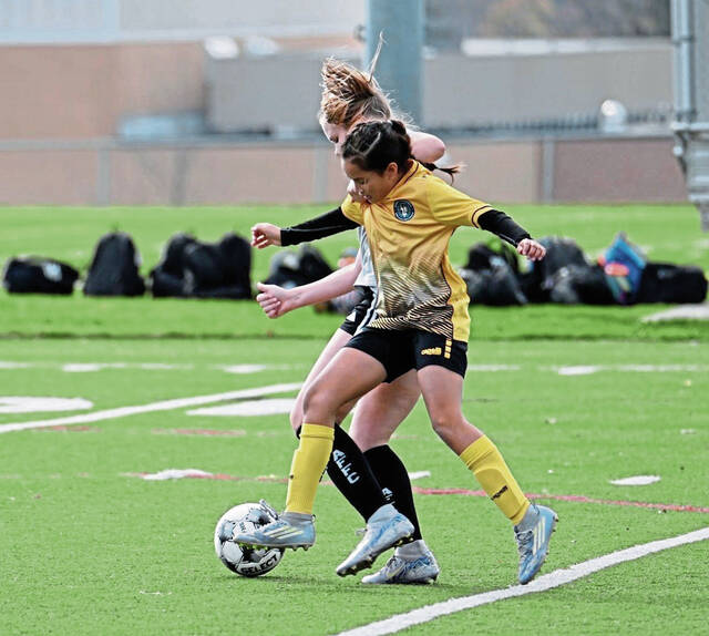 11-year-old Murrysville soccer player will head to France to compete this summer<span class="headline-video">Video <i class="fa-solid fa-circle-play"></i></span>