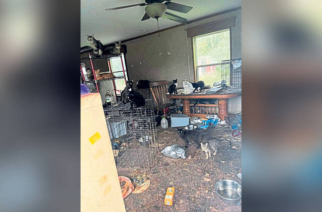 Derry Township shelter treasurer pleads guilty to animal neglect