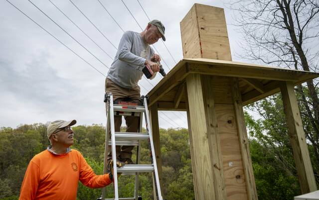 Tarentum OKs 2 chimney swift towers critical to supporting bird population