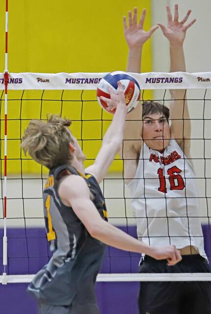 Fox Chapel boys volleyball hoping to be ‘ready for prime time’