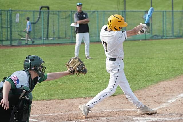 Sophomore delivers clutch hit in statement win for Quaker Valley baseball