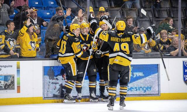 Minor league report: Penguins beat Bears in Game 1