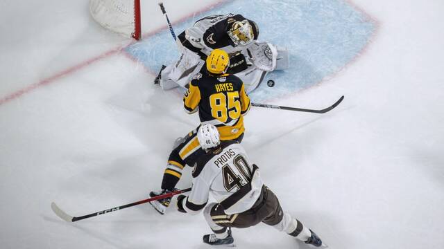 Minor league report: Penguins drop Game 2, Nailers win series