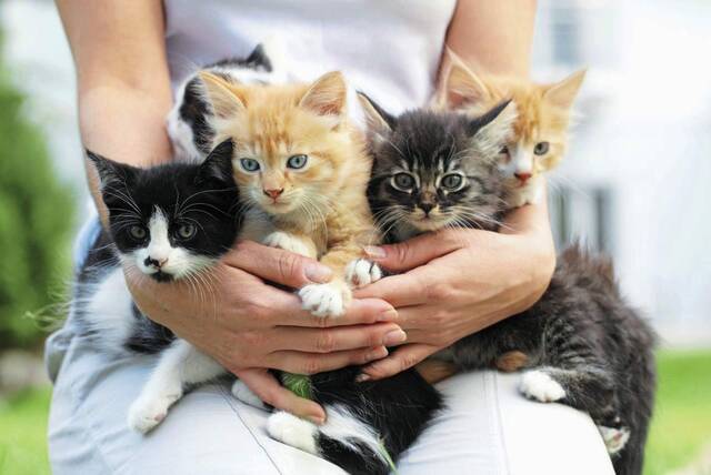 The Stroller, May 7, 2026: Events in the Alle-Kiski Valley