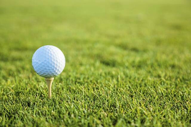 LPGA rookie Green grabs U.S. Women’s Open spot at Shannopin Country Club qualifier