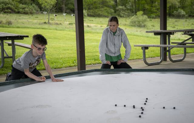 Local qualifier for Allegheny County marbles tournament to be held again at Harrison Hills Park