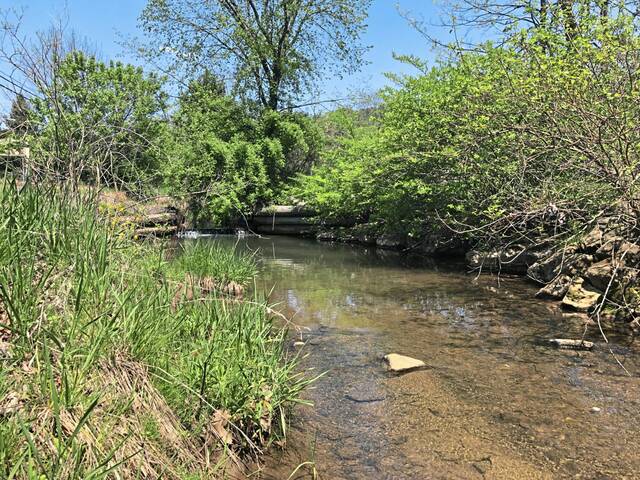 Murrysville area: Children’s fishing derby, Symphony East season finale, car show, more