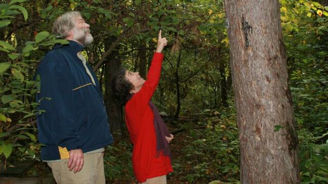 Botanists, ecologists call on Penn State to preserve New Kensington nature trail