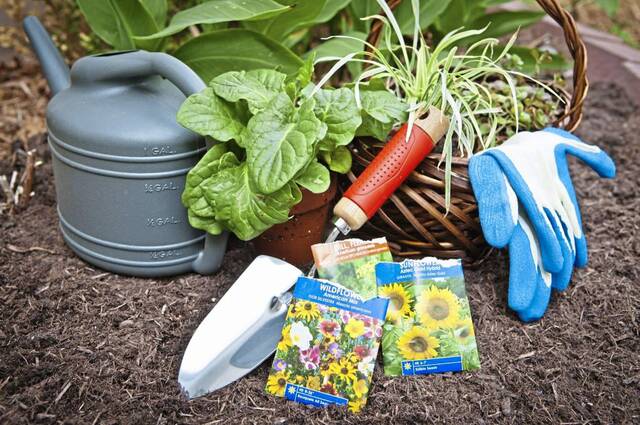 Westmoreland happenings: Plant swap, poker run, therapy dogs fundraiser, more