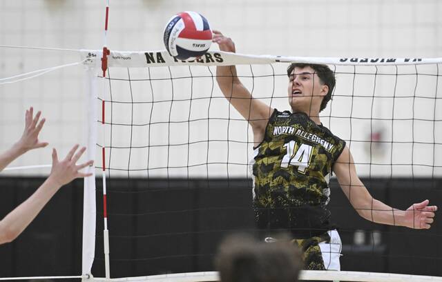 Reigning champs North Allegheny, Shaler earn No. 1 seeds for 2026 WPIAL boys volleyball playoffs
