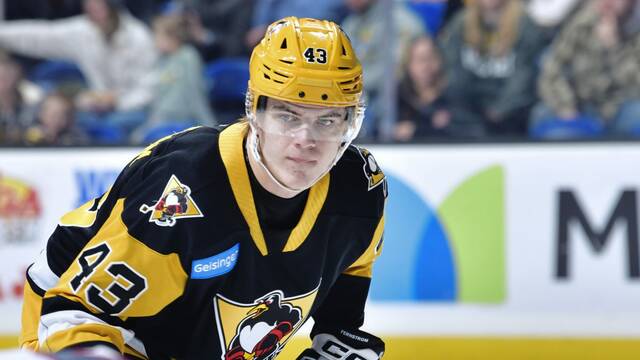 Penguins A to Z: Melvin Fernstrom will need another restart in 2026-27