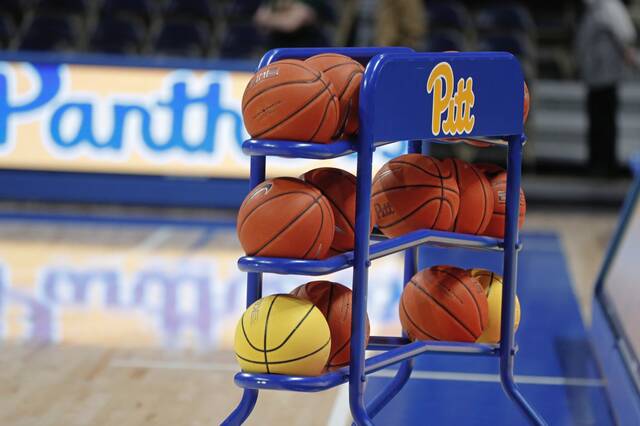 Pitt lands 11th commitment of spring from Bryant forward Timofei Rudovskii