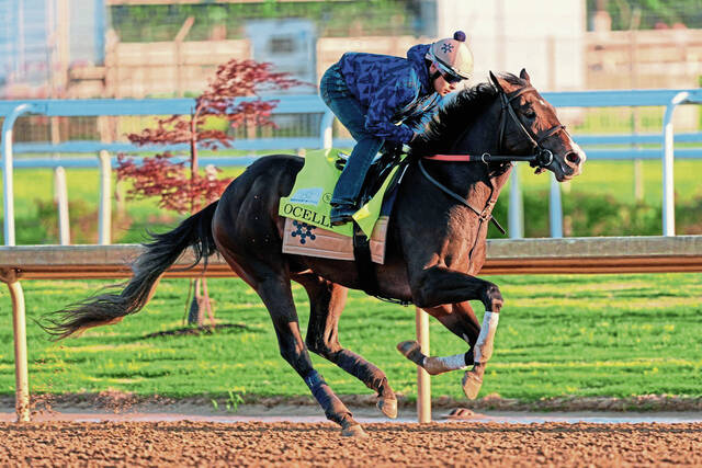 The Preakness at Laurel Park has a little bit of everything but the Kentucky Derby winner