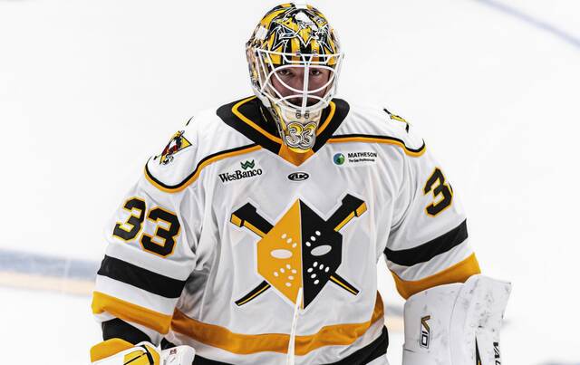 Penguins A to Z: Taylor Gauthier has found a home