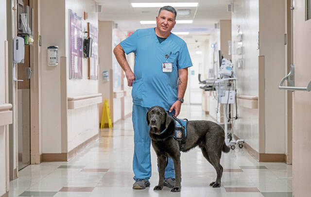 West Deer nurse says diabetic alert dog, Linus, works faster than electronic sensor to manage disease