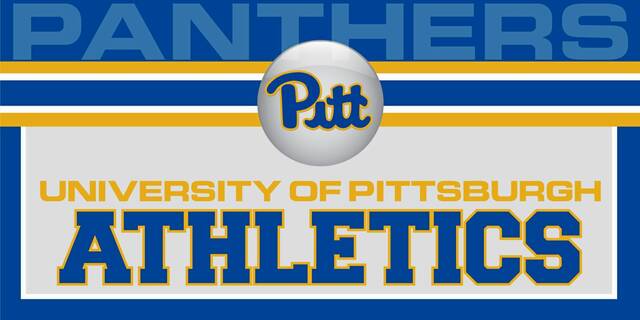 Pitt’s run through ACC Tournament ends with semifinals loss to No. 2 North Carolina<span class="headline-video">Video <i class="fa-solid fa-circle-play"></i></span>