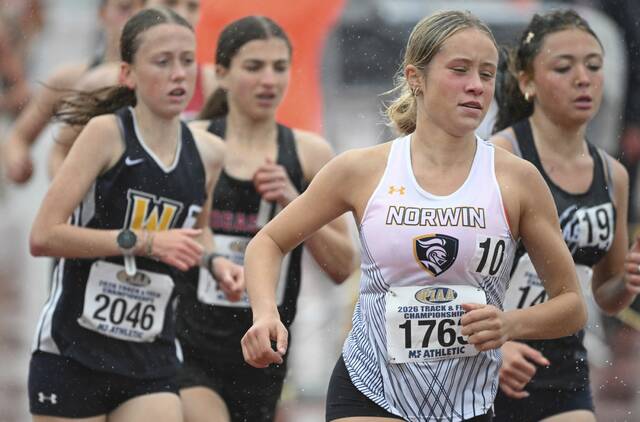 Norwin notebook: Annie Czajkowski caps Knights career with state medal