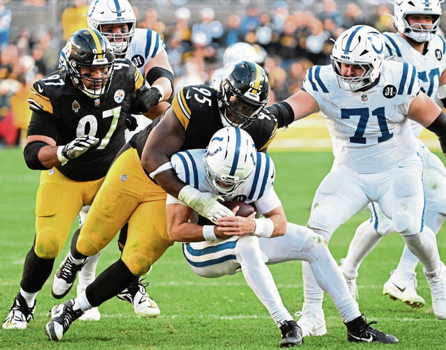 Steelers see potential in deep defensive line group full of both experience, young talent