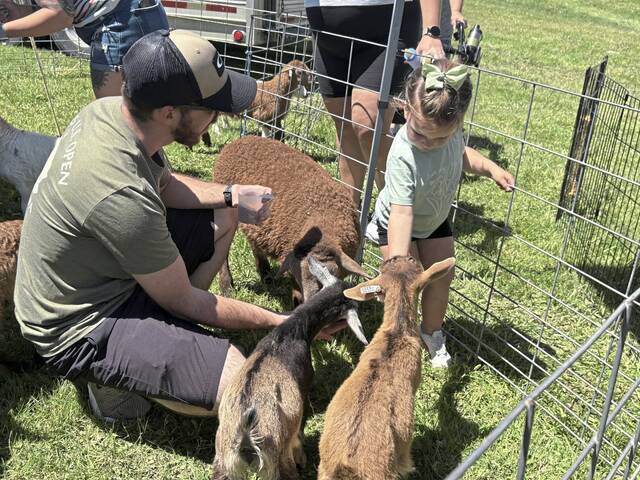 Mammoth Fest lives up to name with food, rides and entertainment